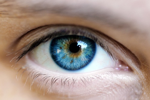 yeux-bleus